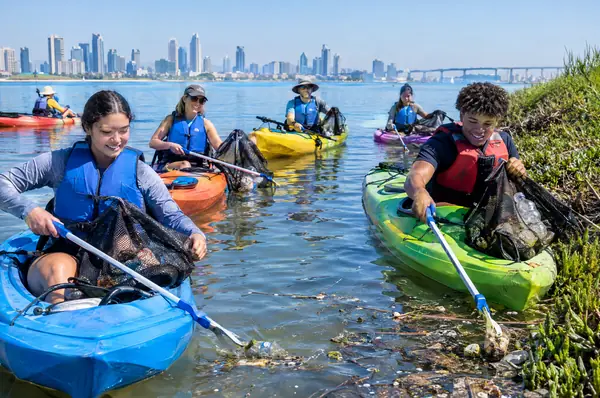 Volunteers in kayaks collecting debris along the bay shoreline